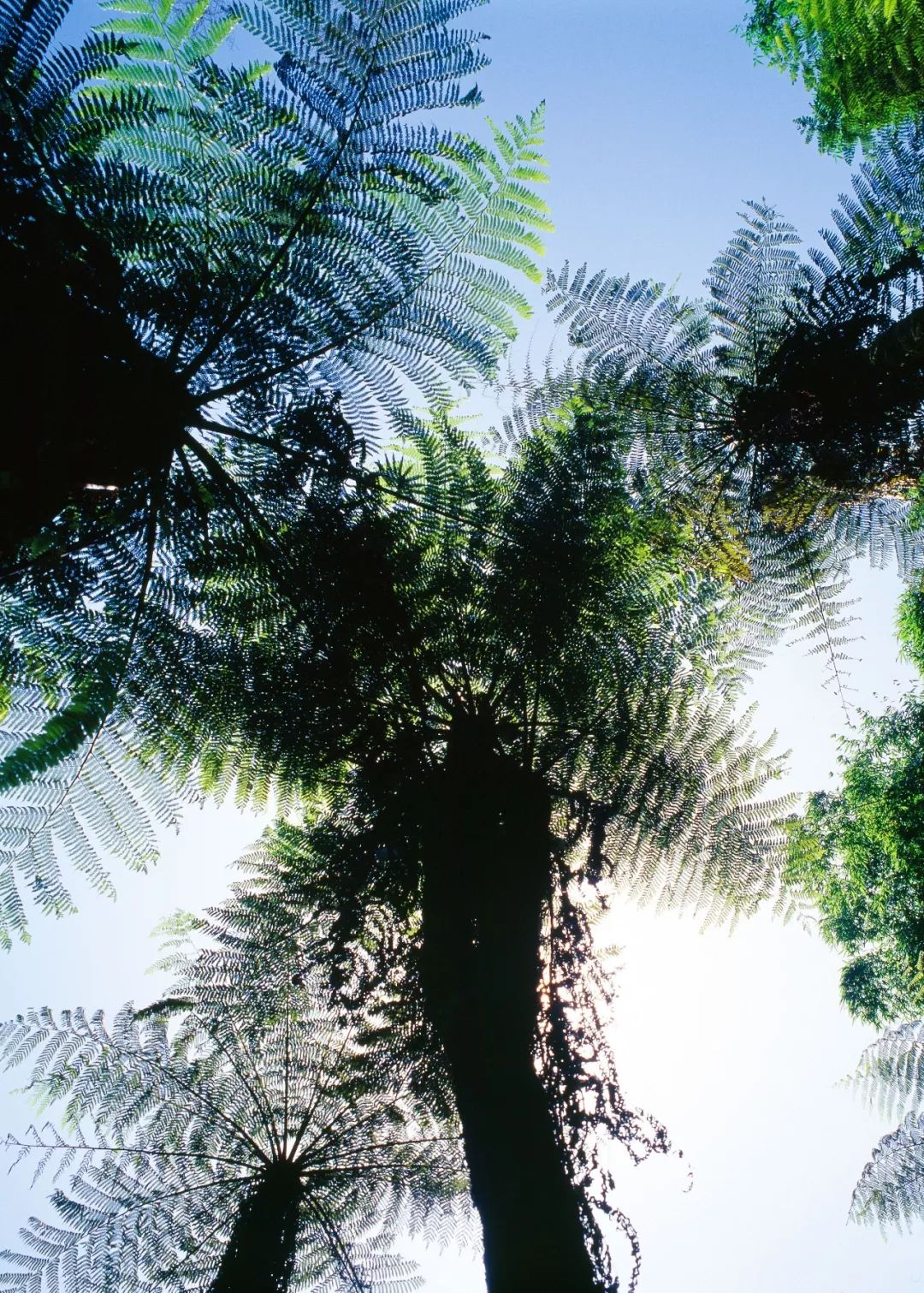 贵州速度，蔚为大观