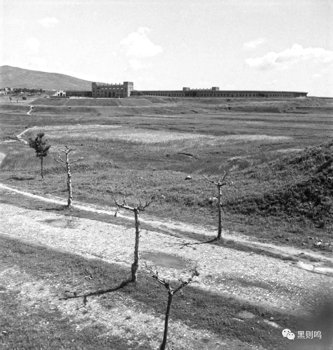 1934年的南京城,1944年南京视频