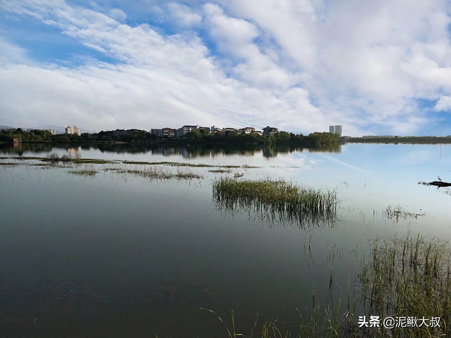 金义都市新区招聘,金义都市新区未来5年规划