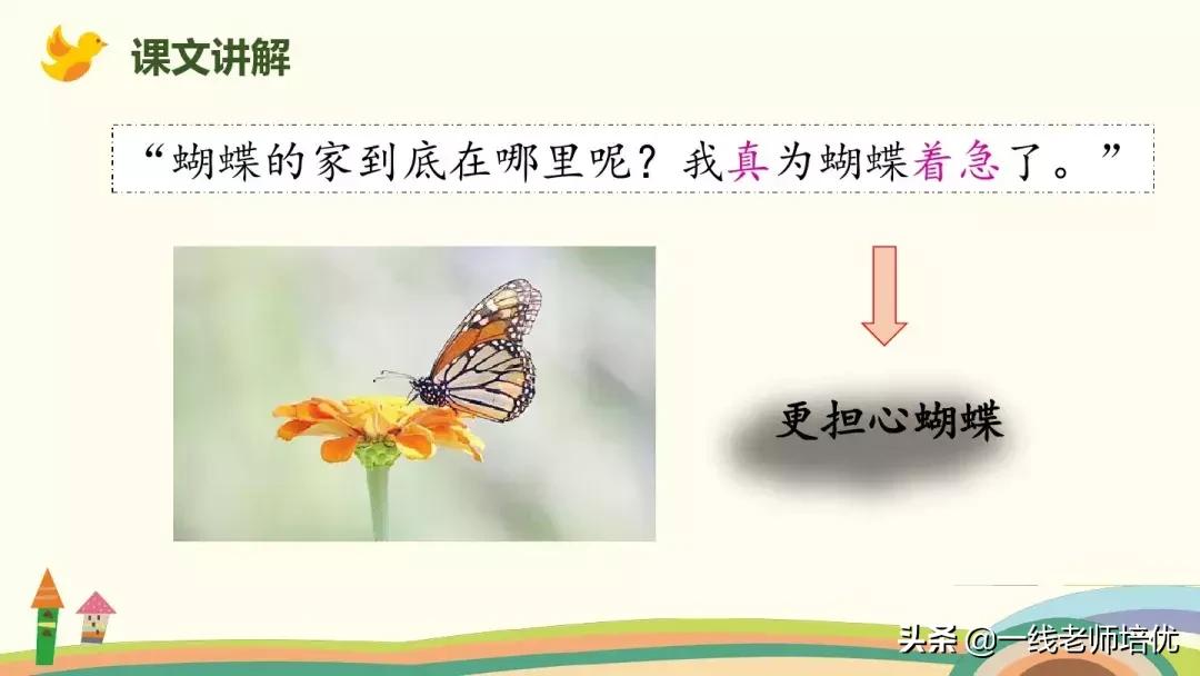 部编版蝴蝶的家课后练习及答案,四年级上册第8课蝴蝶的家全文