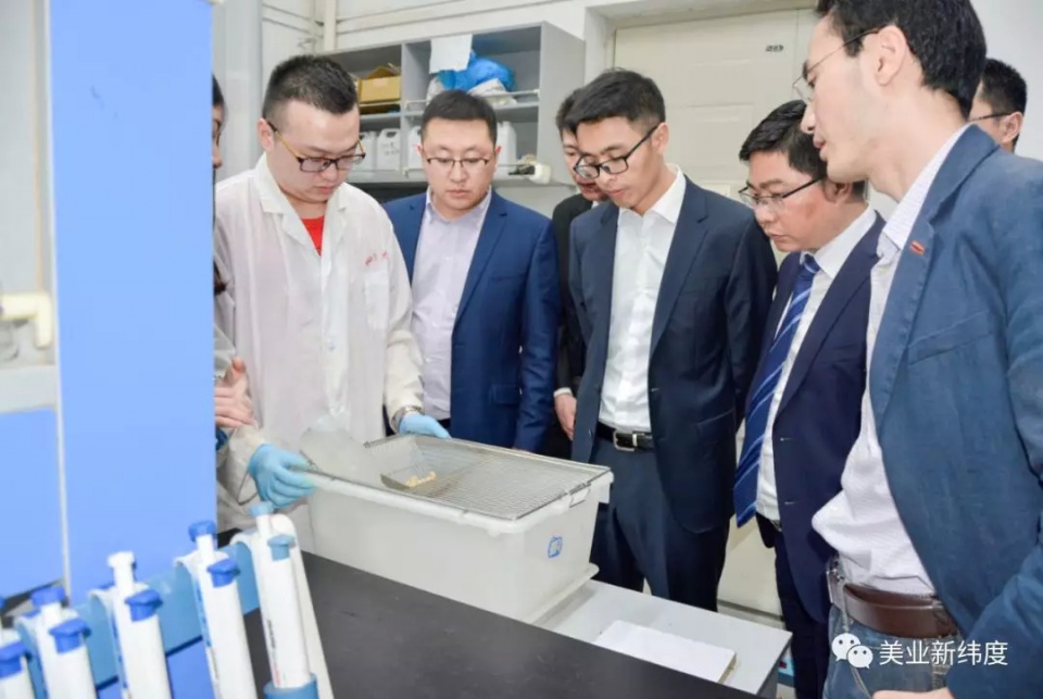 600家连锁店是什么概念,有600家连锁店是什么概念