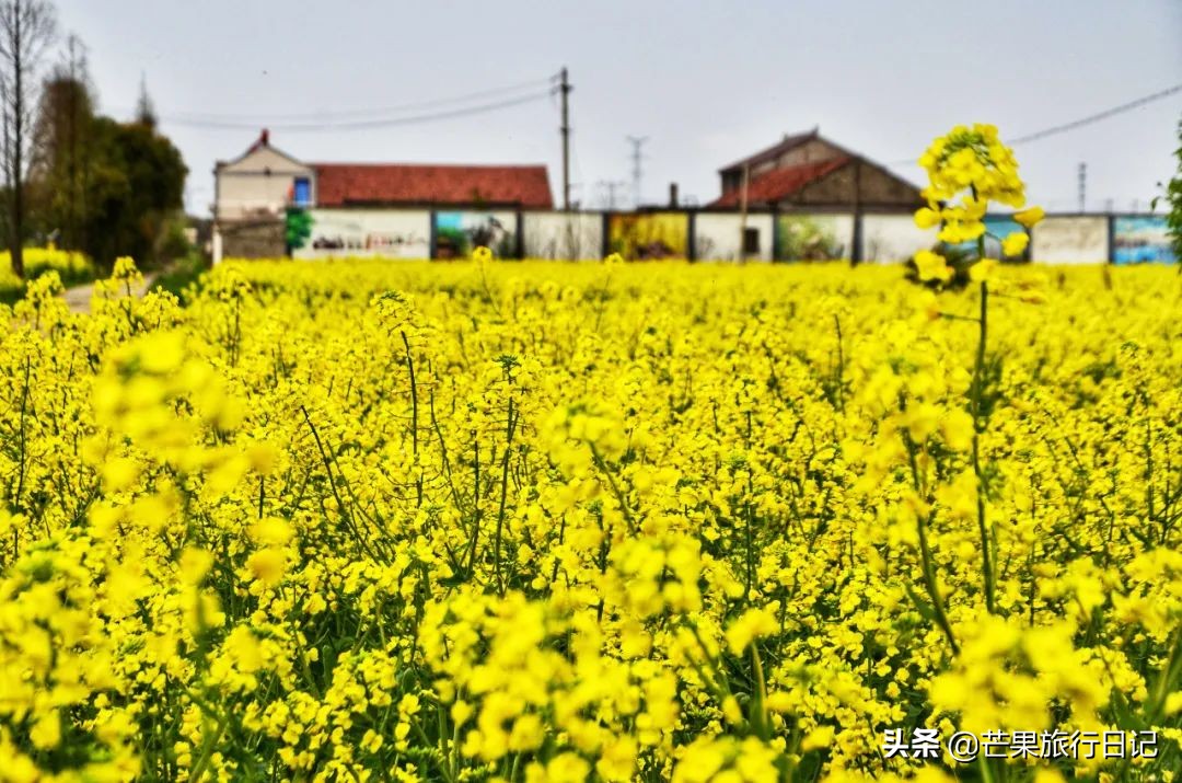 江苏绝美人间仙境风景民宿,江苏最漂亮的湖景民宿