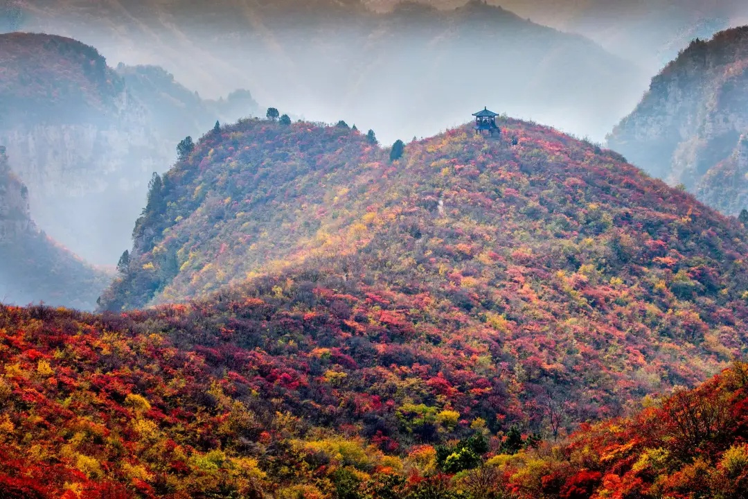 颜值惊艳神仙颜值,颜值爆表长相逆天