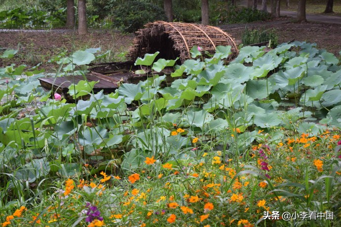 江苏常熟沙家浜,江苏常熟沙家浜温泉
