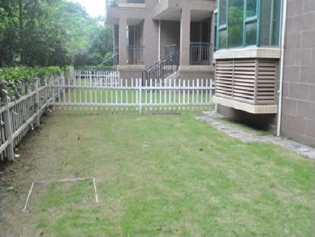 一楼房子的优点和缺点是什么,一楼的房子有哪些缺点