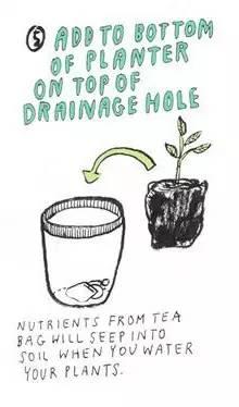 茶叶的妙用10个日常生活小妙招,包茶叶包技巧