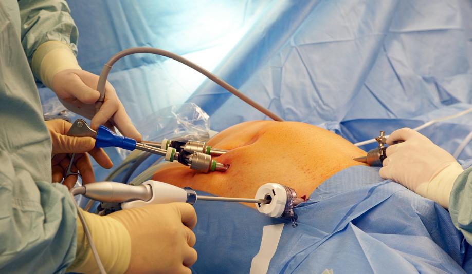 人体小肠长度测量,人体内最长的肠体