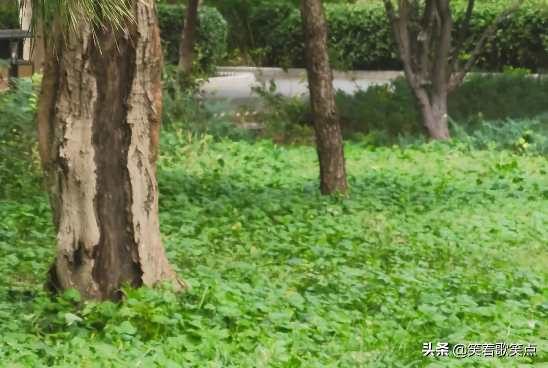 小小说丨出了事以后