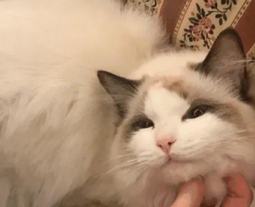 7款单眼皮眼妆单眼皮女生必看,高冷单眼皮眼妆超模