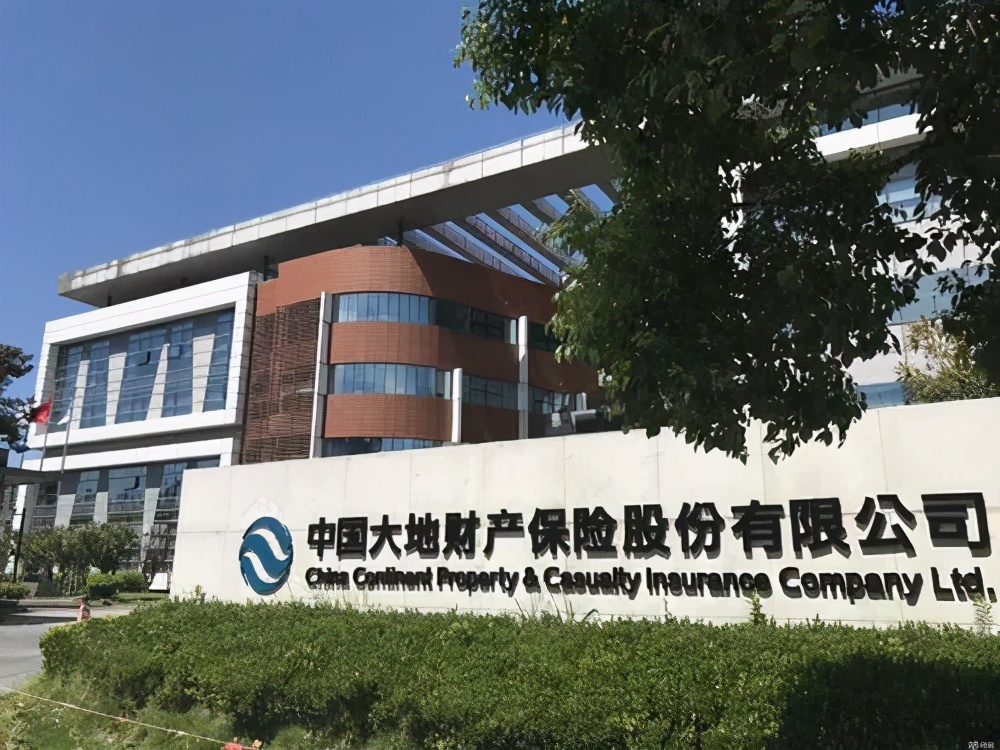 中国大地保险公司现状,大地保险违规案例