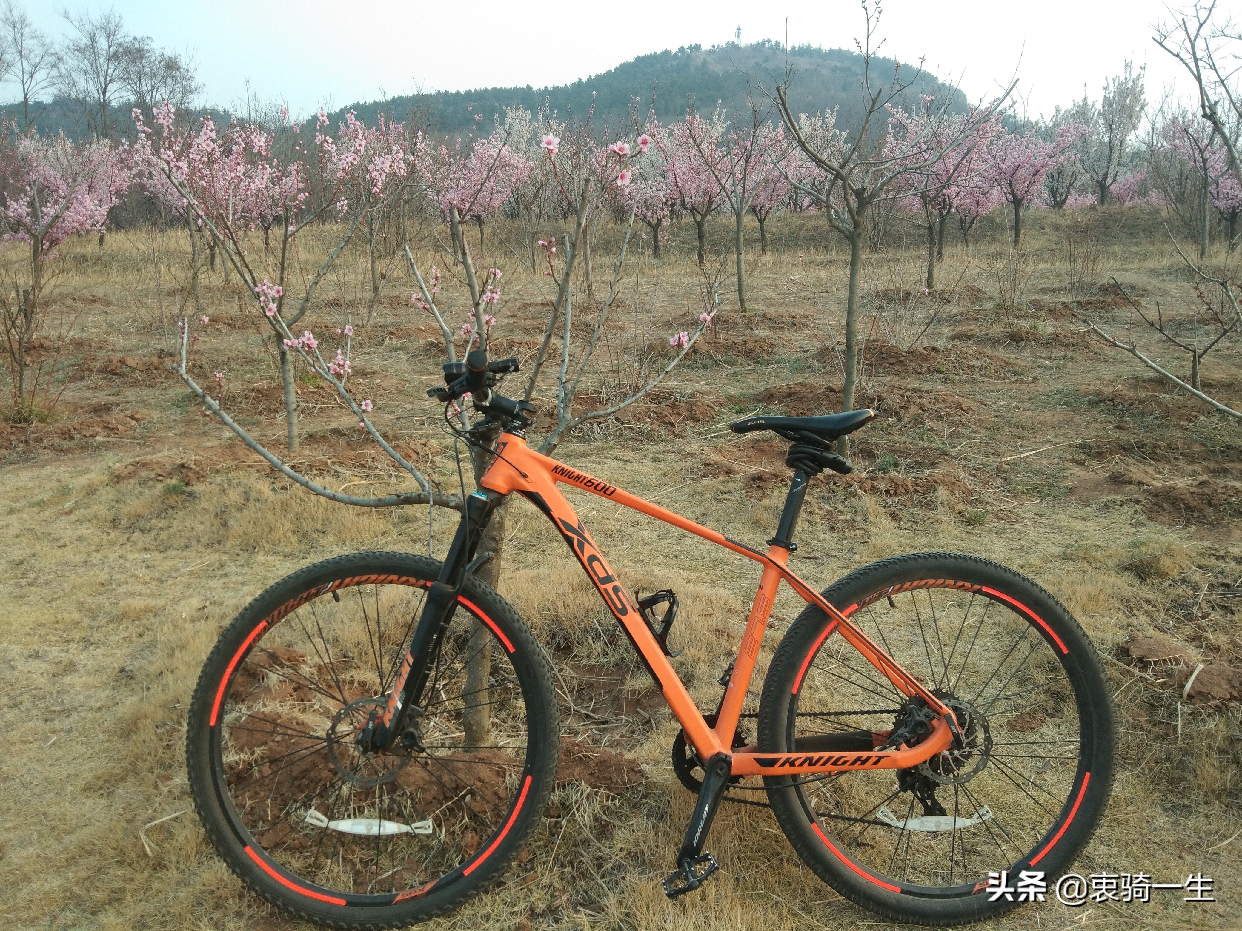 喜德盛侠客600骑行姿势,喜德盛侠客600和英雄600哪个好