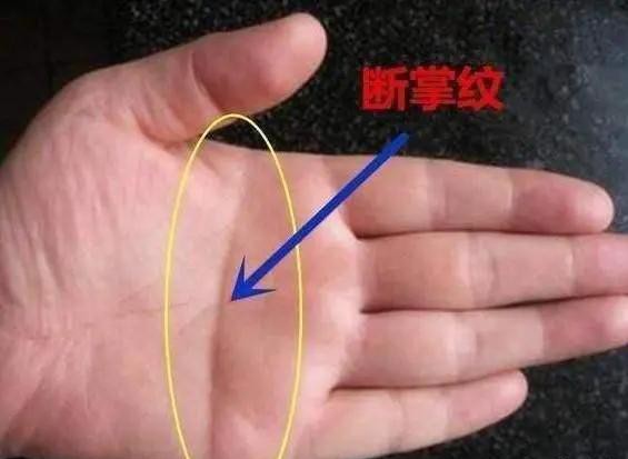 男儿断掌千斤两女人断掌很凄凉,女子断掌讨房养啥意思