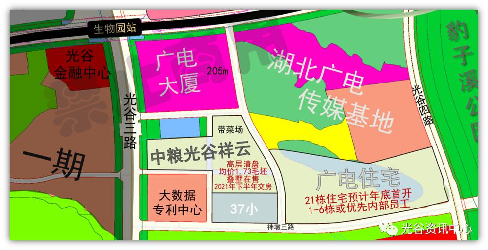 开挂了！比肩世界的爆款区域利好多到数不清！一般人已高攀不起