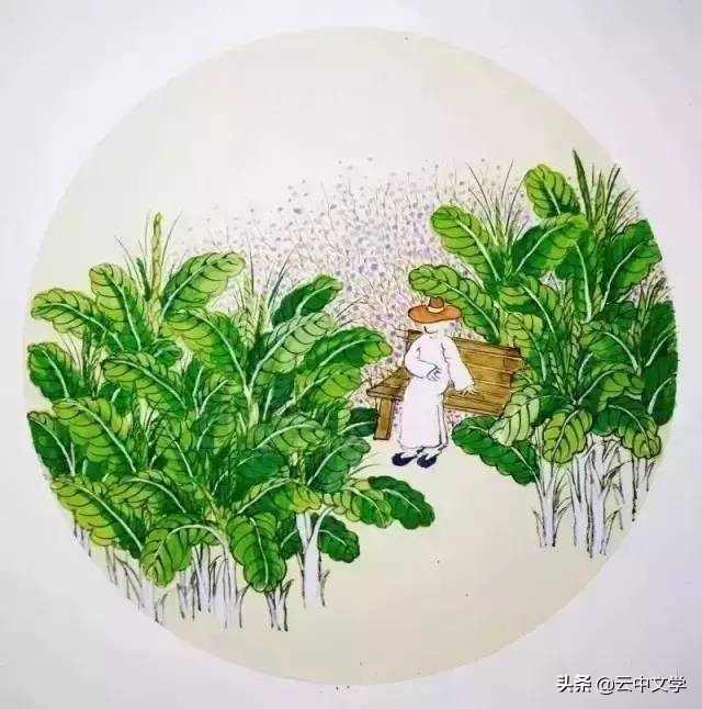 争奇斗艳相同类型的成语,二年级abcc类型的成语