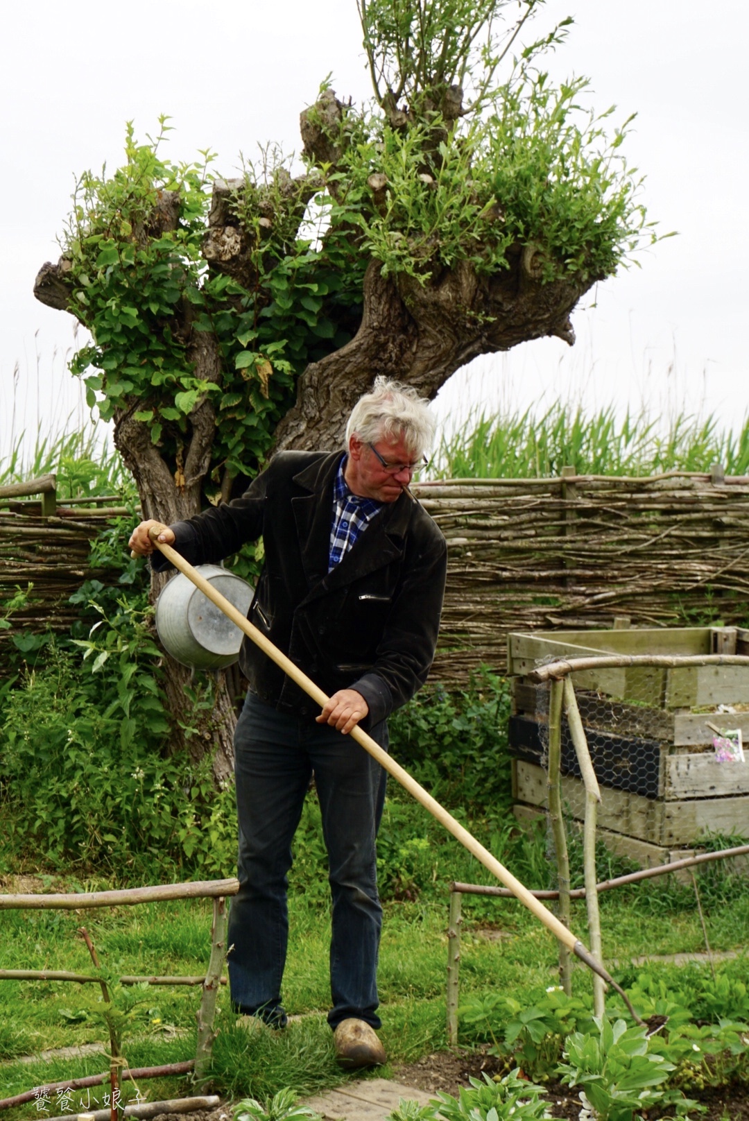 荷兰风车为什么这么多,荷兰为什么被称为风车国