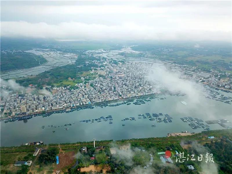 7月份的湛江海边有什么海鲜,湛江开海哪里海鲜便宜