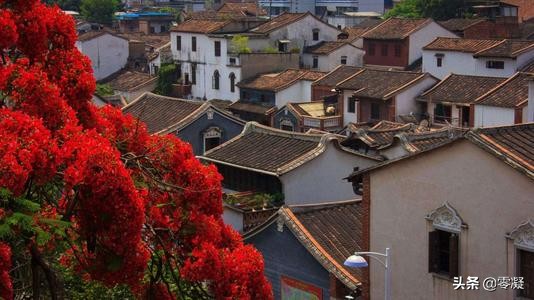 福建漳州古城保护,漳州古城保护与旅游开发