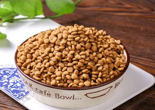 小比熊眼泪汪汪的原因,小比熊会哭吗