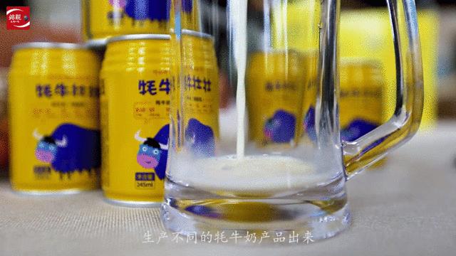 海拔4000米干工程,海拔4000米的施工队