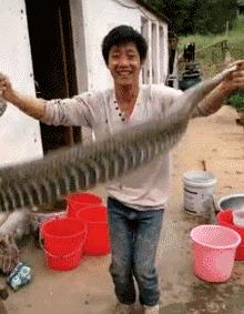 无线路由器搞笑图片,搞笑路由器视频大全