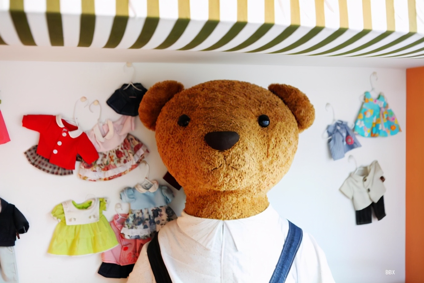 济州岛泰迪熊博物馆,济州岛泰迪熊博物馆圣诞节