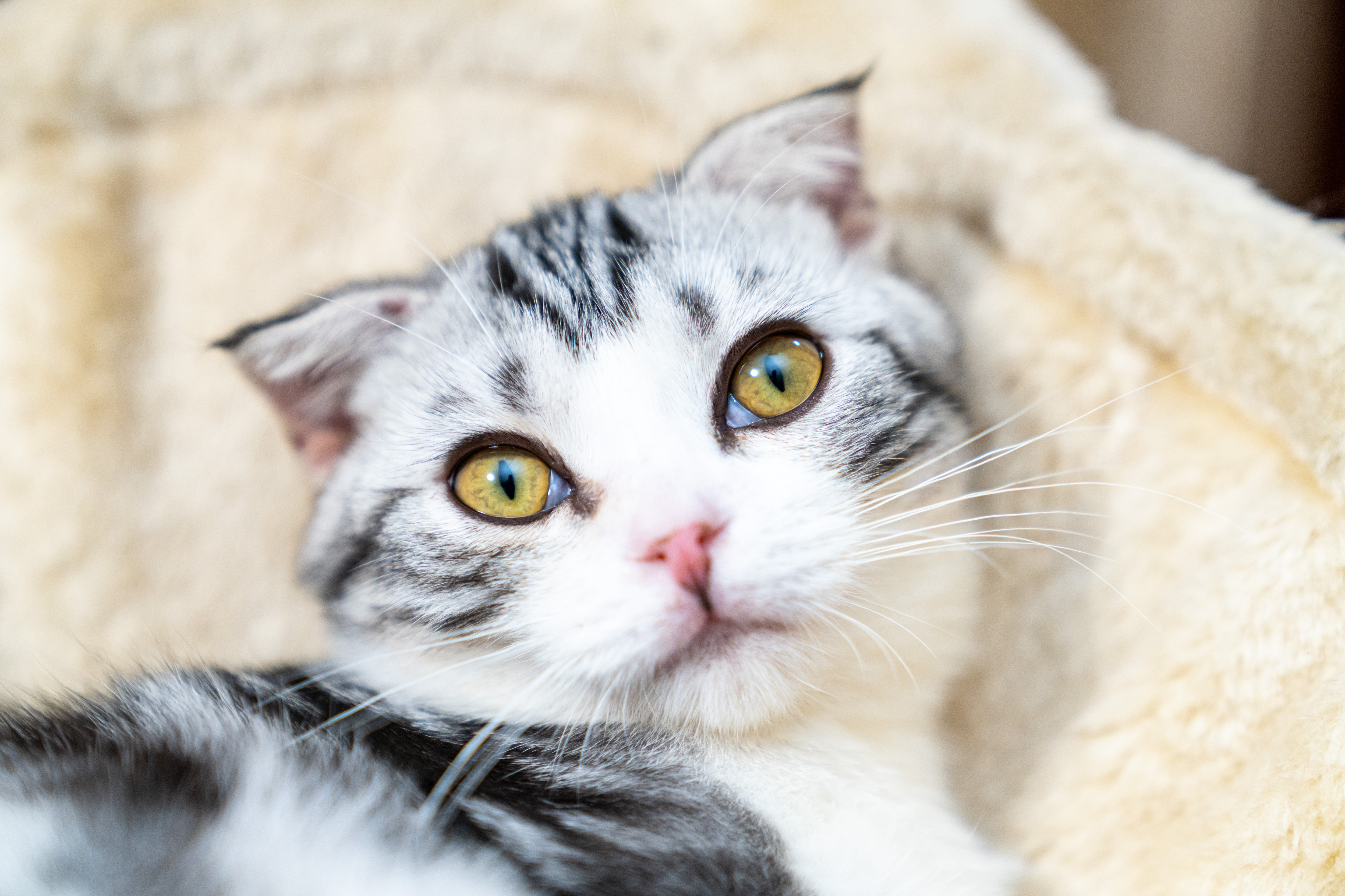 松下nanoex空调杀菌测试,松下空调和nanoex区别