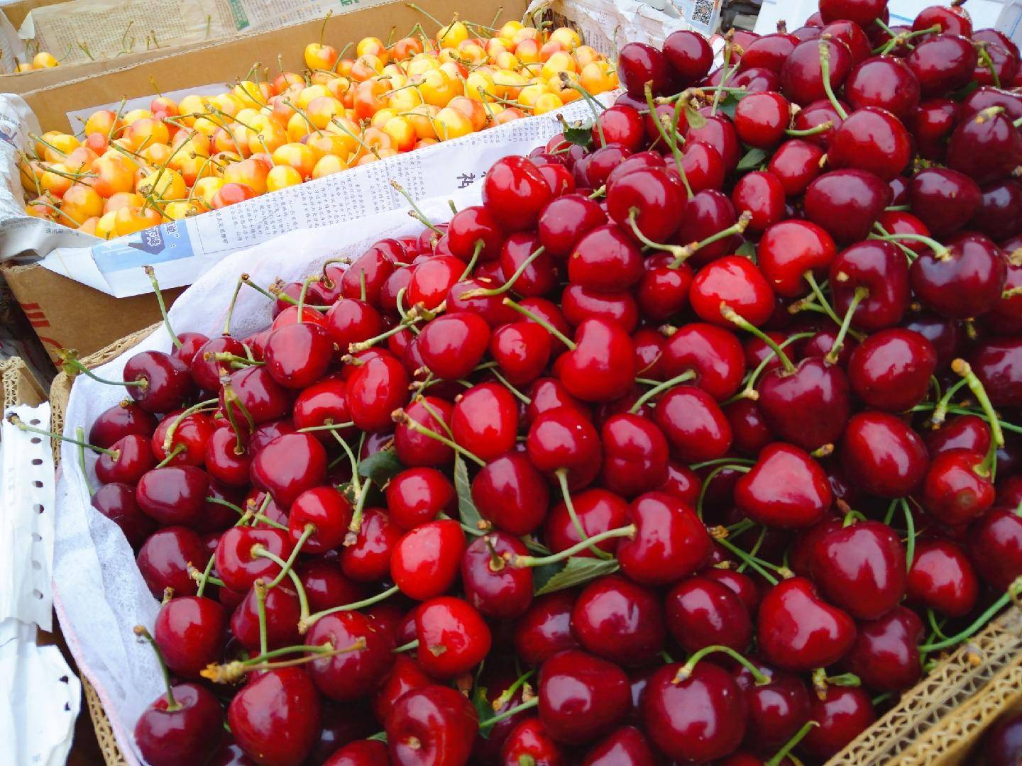 10元的鲍鱼能买吗,10元一斤的鲍鱼