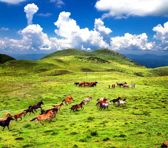 贵州盘州乌蒙草原海拔多少,贵州六盘水乌蒙大草原海拔多少