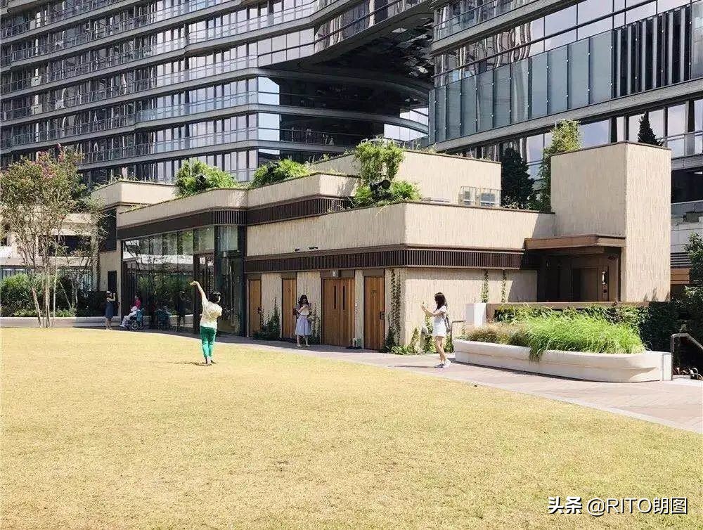 现象级新项目一览,现象级创业是什么