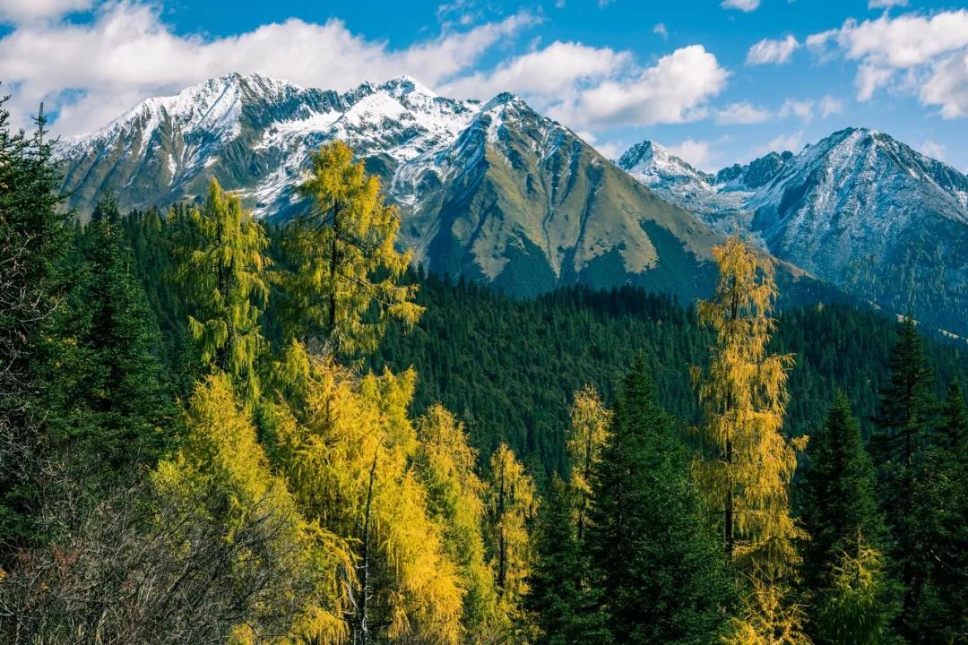 一个被上帝偏爱的地方,一个被上帝遗弃的城市