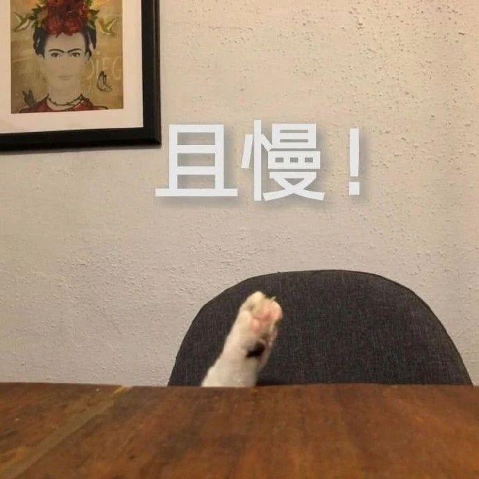 新娘开心的搞笑视频,搞笑gif开心一刻女司机上车