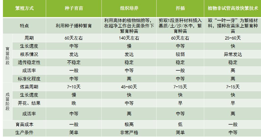 百合中的女王——香水百合的植物非试管高效快繁技术