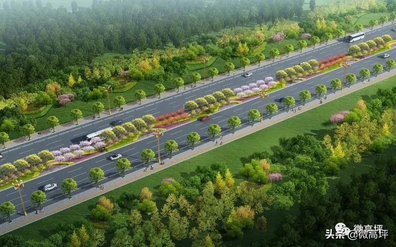 高坪区临江新区,高坪临江新区