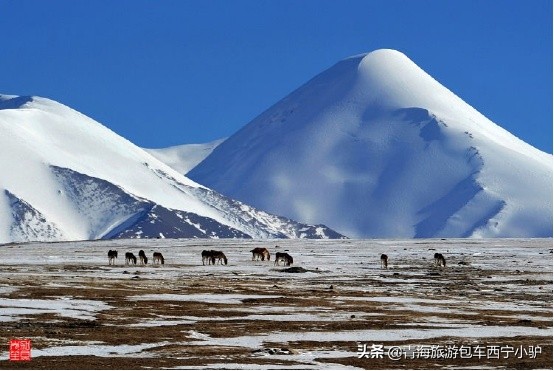青海那么美,青海小驴旅游攻略