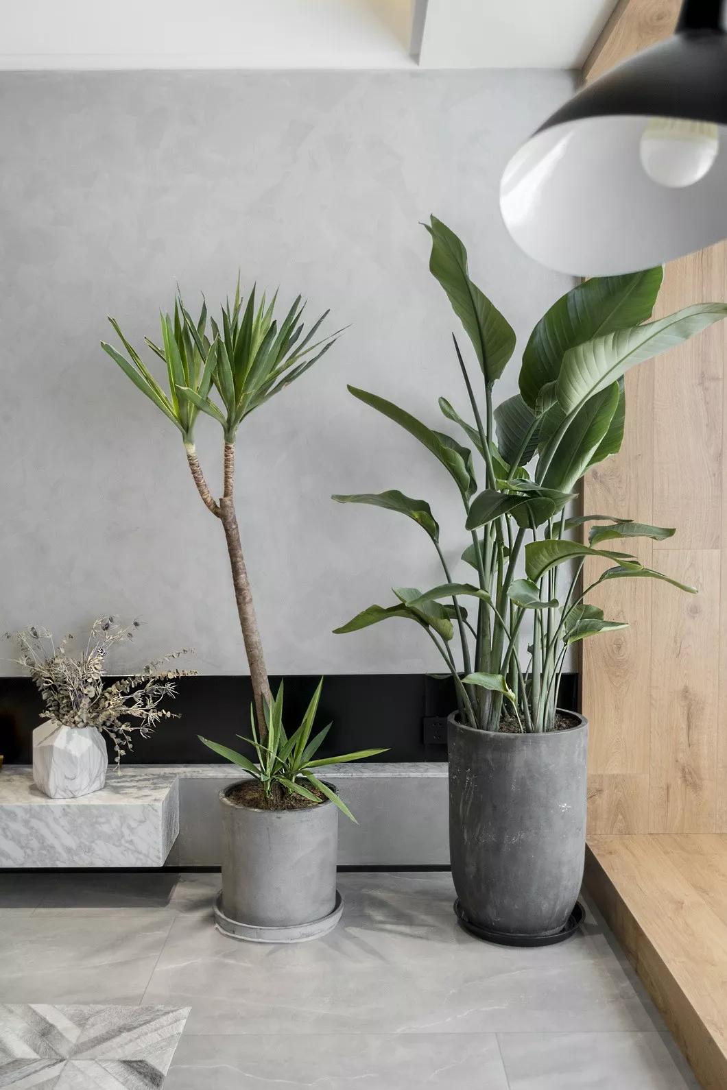 网红pu水泥墙,水泥网红墙