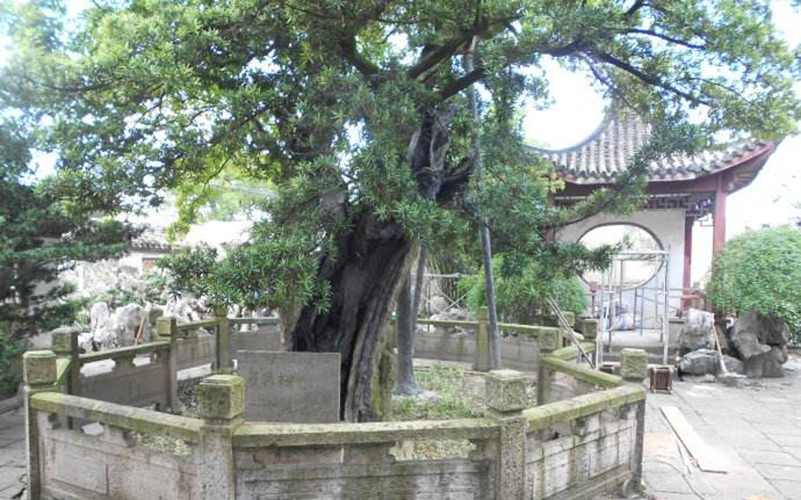 上海亭林古镇简介,上海亭林镇最繁华的地方