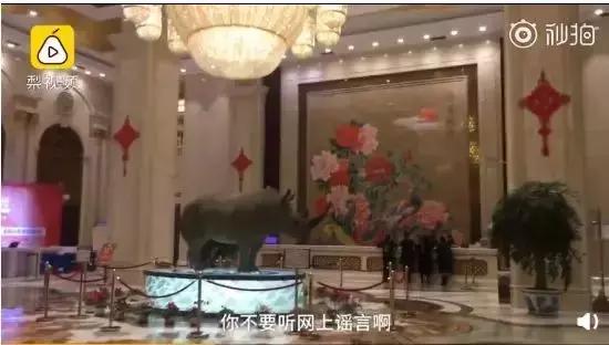 没有思维能力的人有多可怕,聪明人绝对不会上当的四种人