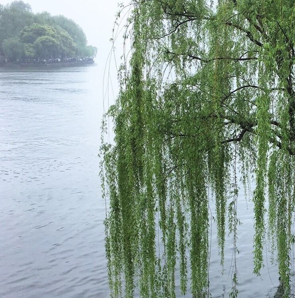 浜曞唸绾㈠鐪熷疄鐓х墖,浜曞唸绾㈠鏄摢閲屼汉