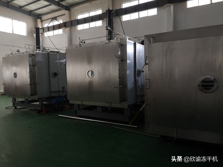 冻干机箱体内部结构,冻干机板层运作原理