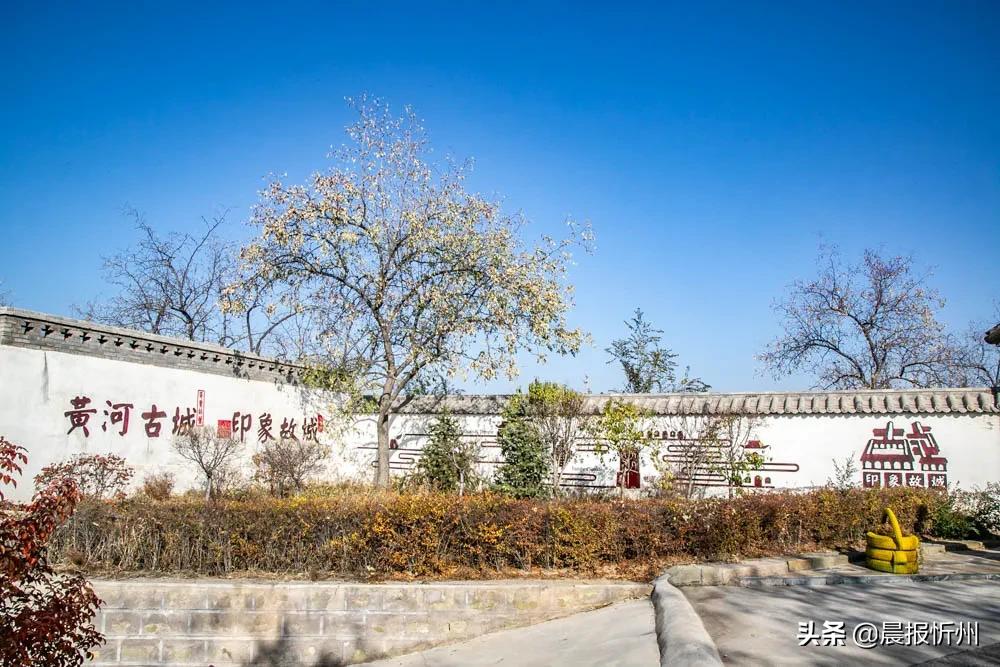 打卡乡村美景,打卡美丽网红村