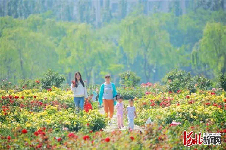 廊坊市最富的十个县排名,2023中国最具幸福感城市河北