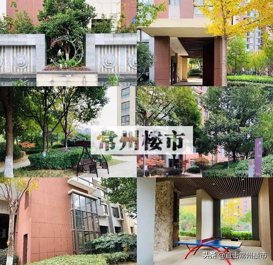 这才是常州楼市真正的王者!交付近10年,品质吊打一批新房