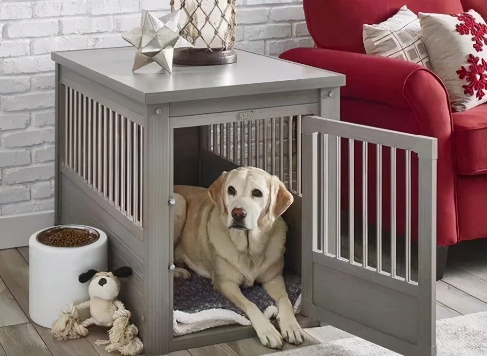 狗狗不睡狗窝睡床怎么训练,狗狗不睡狗窝睡地上感冒