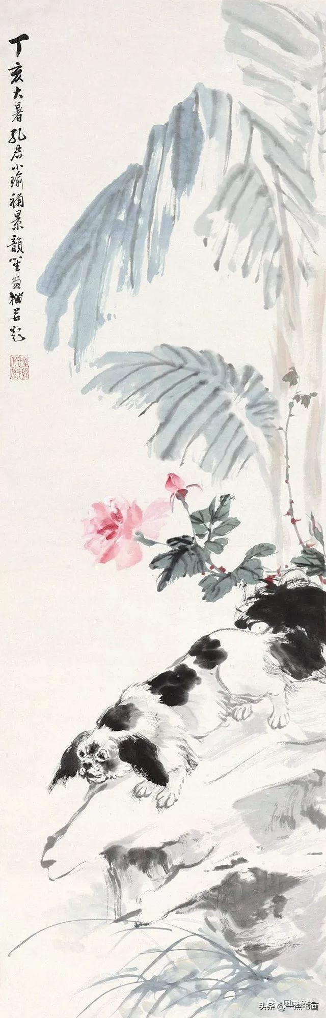 流光容易把人抛绿了芭蕉赏析,流光容易把人抛红了海棠绿了芭蕉