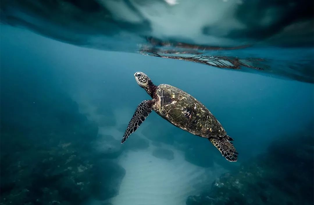 夏威夷比你想的还要美100倍!这样玩刷爆你的朋友圈