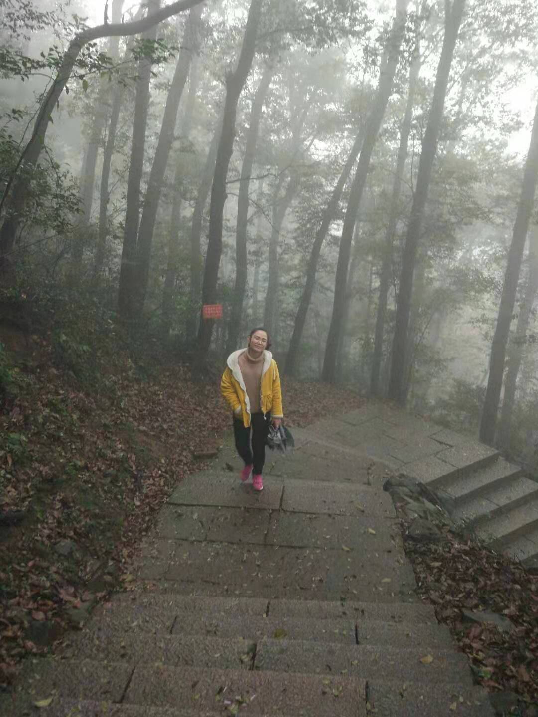 杭州云栖竹径多高,杭州人知道的云栖竹径