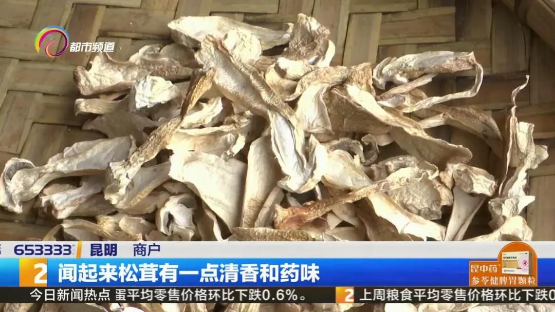 买到假虫草怎么检测,西藏买到假松茸