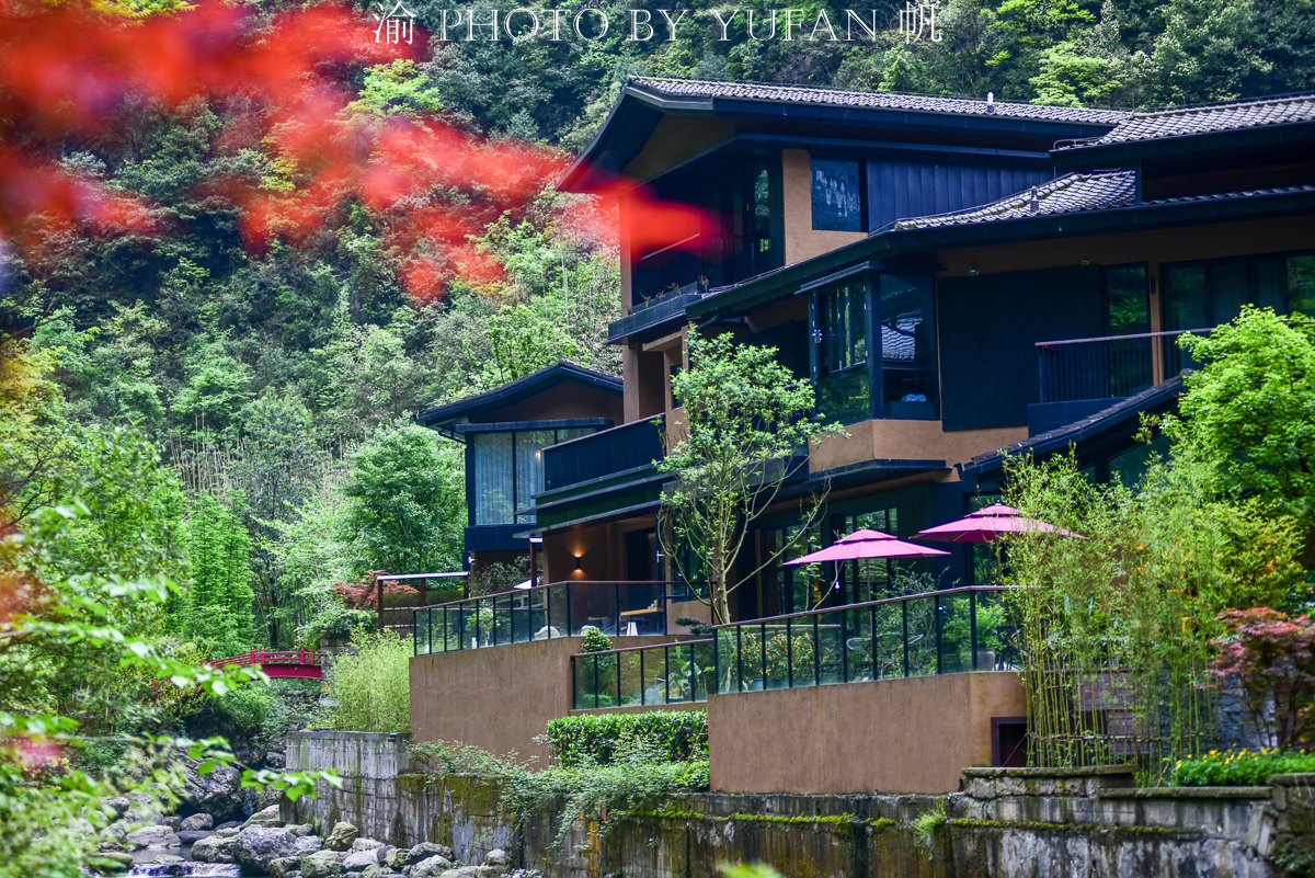 金佛山环山自驾,五一去金佛山最佳路线