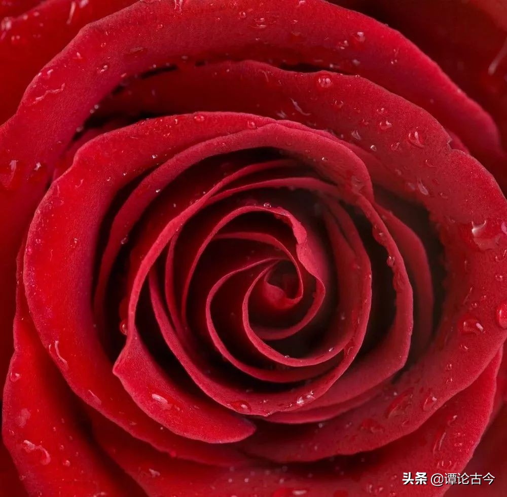 舌尖上的浪漫爱情,舌尖上的爱情对唱版