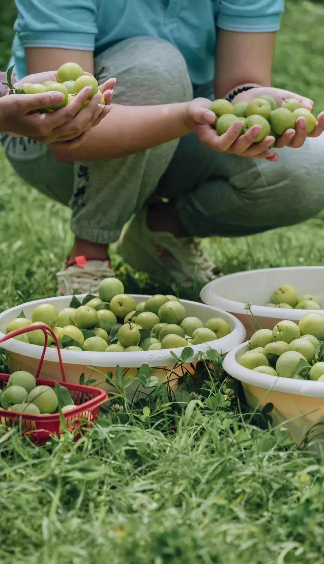 第1家国家4a级旅游区的大学博物馆,隐藏在各大校园里的有趣博物馆